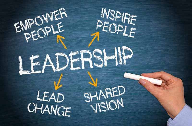Leadership and Team Development